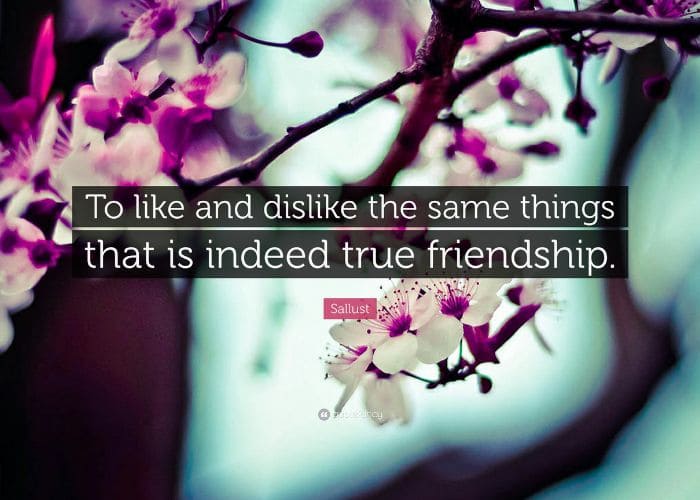 “To like and dislike the same thing, that is indeed true friendship” là gì?