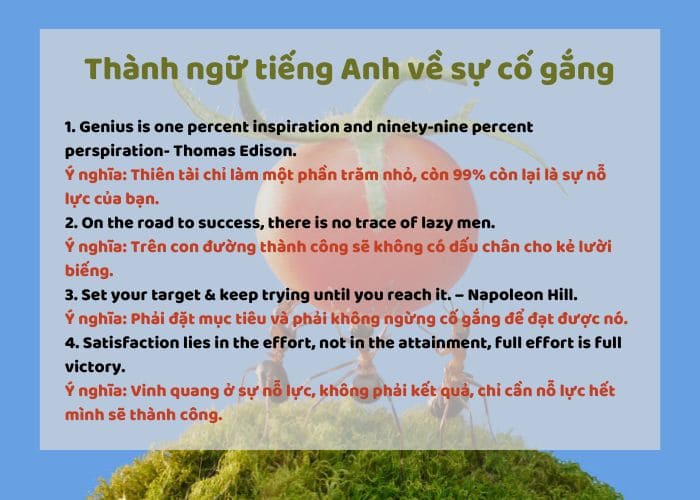 Thành ngữ tiếng Anh hay về sự cố gắng