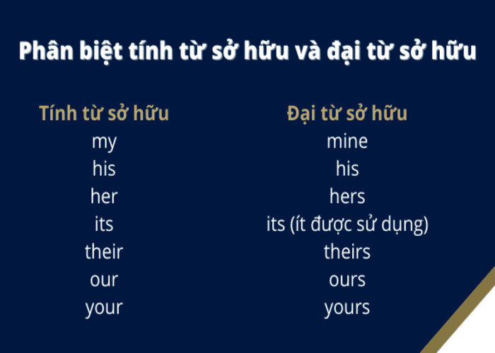 Tính từ sở hữu và đại từ sở hữu có gì khác biệt?