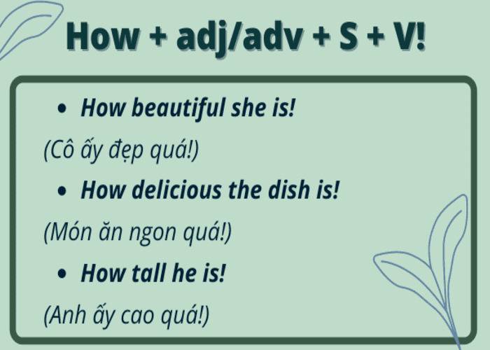 Ví dụ về câu cảm thán với how